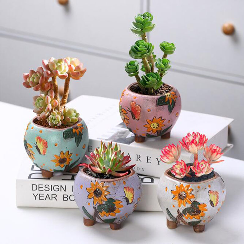 Korean Style Sunflower Pattern - đánh giá và giá Echeveria Succulent