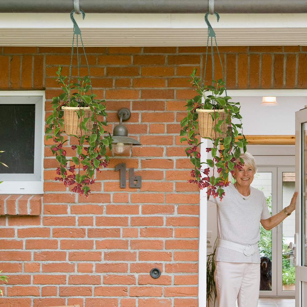 5Pcs Hanging Planter Hooks Set - đánh giá và giá Spider Plant Hanging