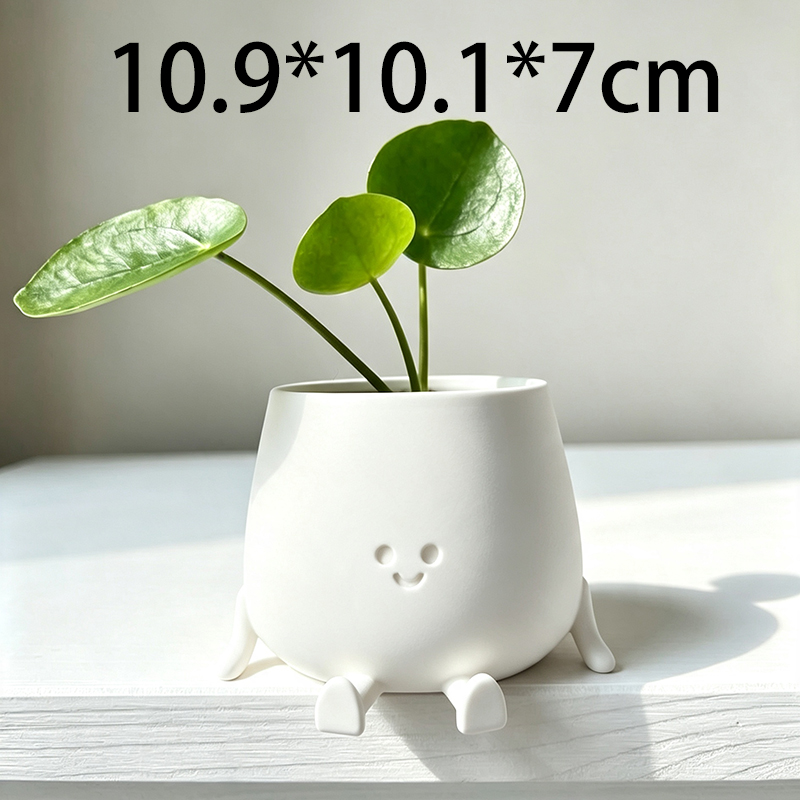 3D Printed Cute Smiley Face Pl - đánh giá và giá Echeveria Succulent