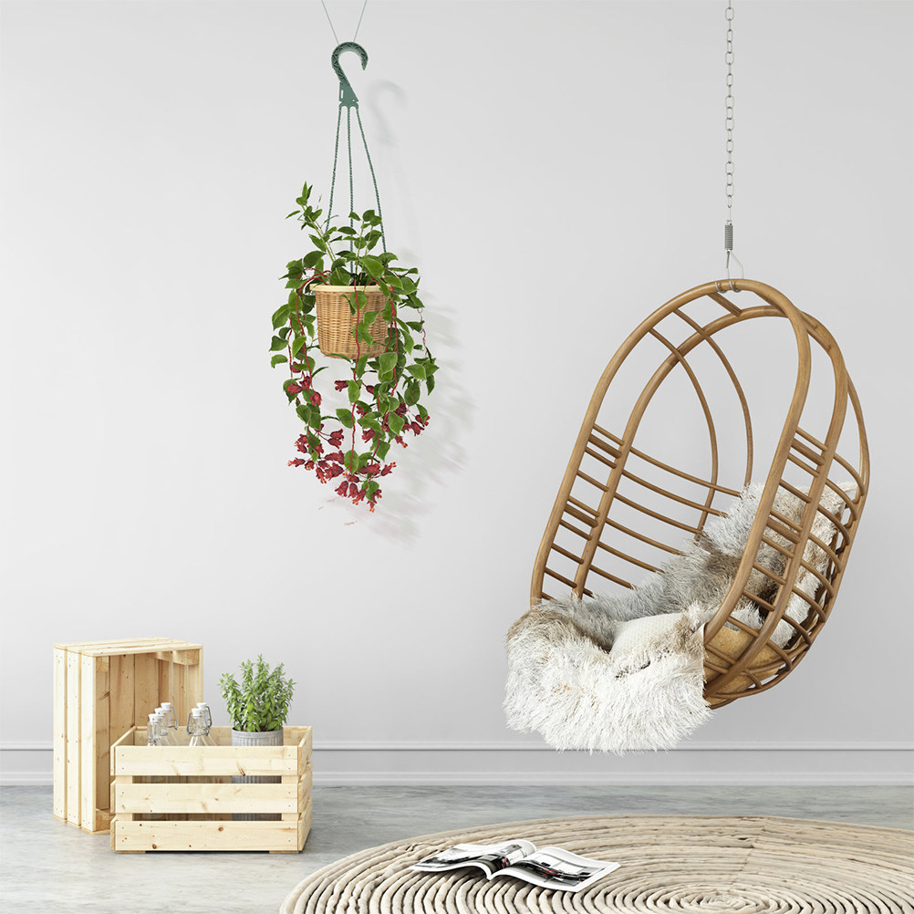 5Pcs Modern Minimalist Hanging - đánh giá và giá Spider Plant Hanging