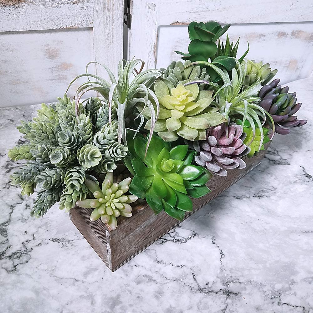 15 Pack Assorted Artificial Su - đánh giá và giá Echeveria Succulent