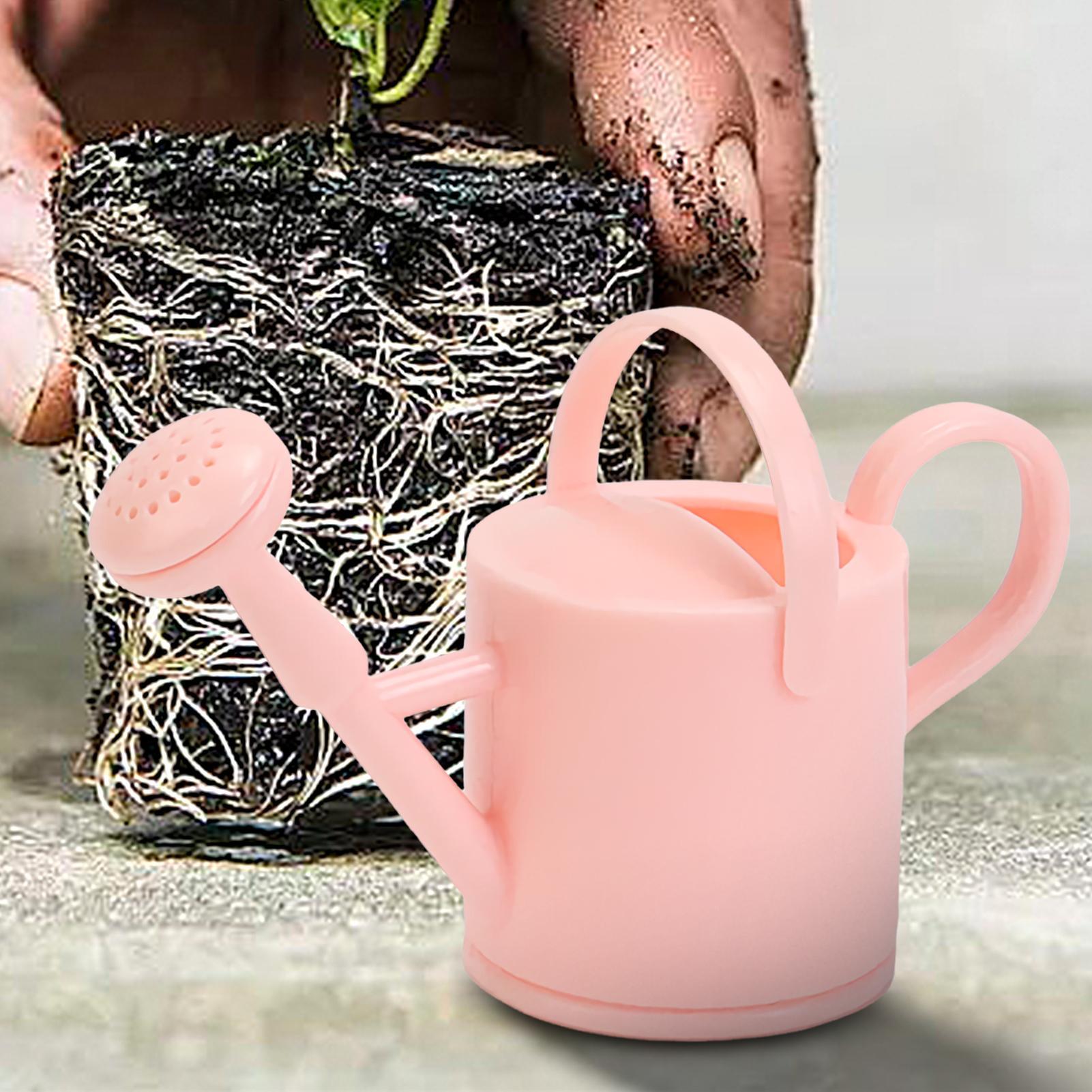 Small Kids Watering Can Flexib - đánh giá và giá Echeveria Succulent